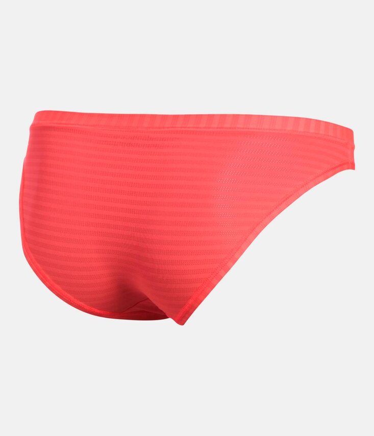 Sheers Bikini Novelty Nohavičky